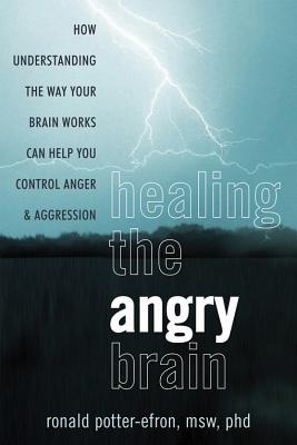 cover for Healing the Angry Brain