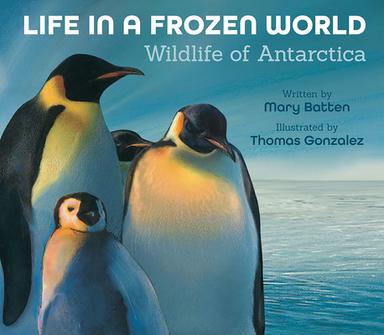 cover for Life in a Frozen World