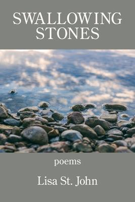 cover for Swallowing Stones