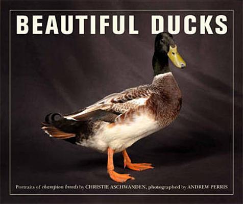 cover for Beautiful Ducks