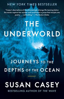 cover for The Underworld