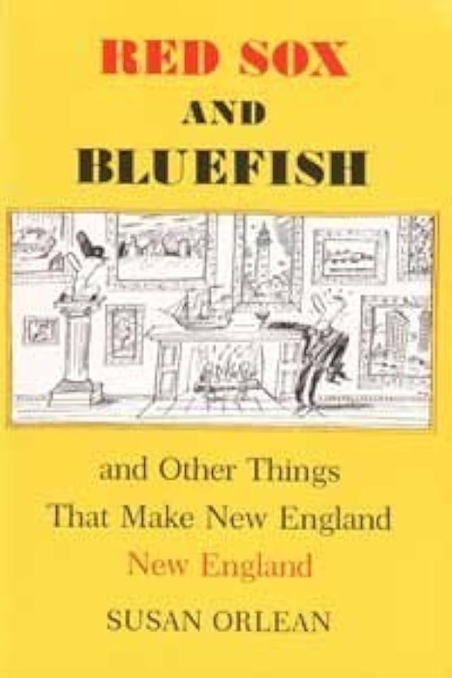 cover for Red Sox and Bluefish and Other Things That Make New England New England