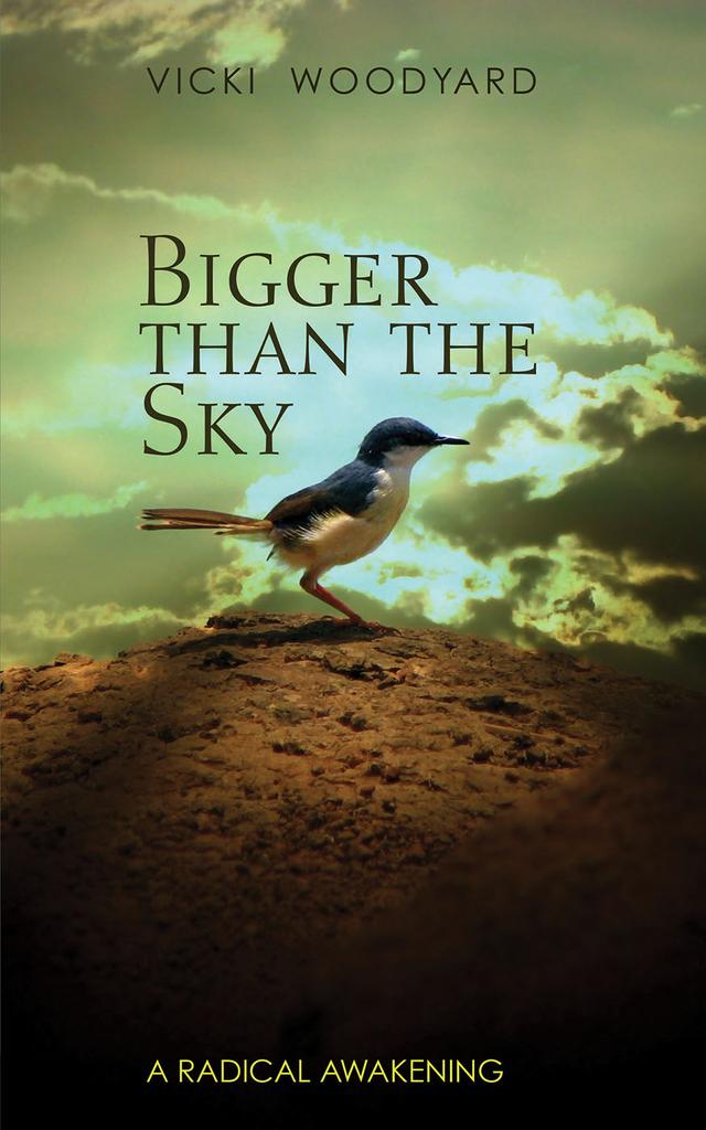 cover for Bigger Than the Sky