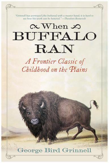 cover for When Buffalo Ran