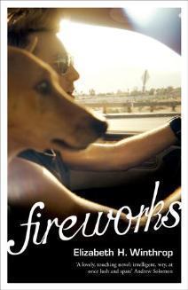 Fireworks cover for Fireworks