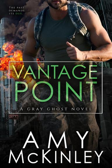 Vantage Point: Gray Ghost Series, Book 4 cover for Vantage Point: Gray Ghost Series, Book 4